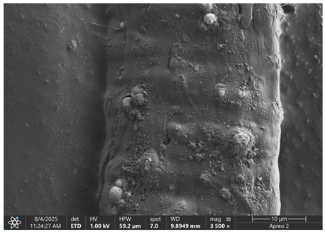 Materials 18 05631 i009