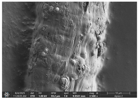 Materials 18 05631 i011