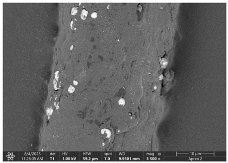 Materials 18 05631 i012