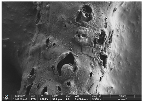 Materials 18 05631 i015