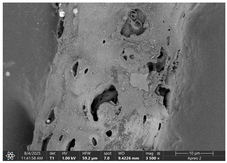 Materials 18 05631 i016