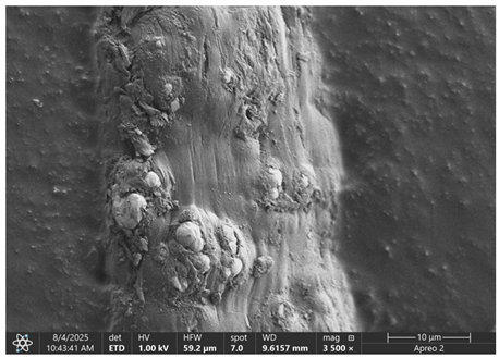 Materials 18 05631 i017