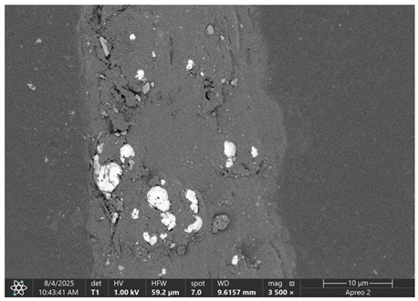 Materials 18 05631 i018