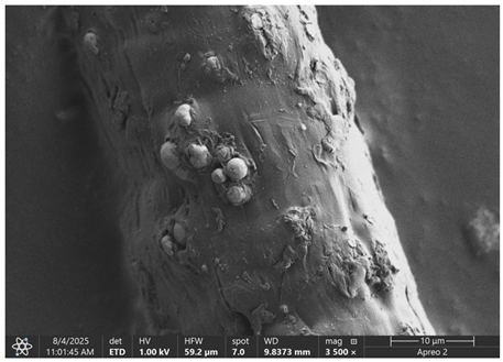 Materials 18 05631 i019