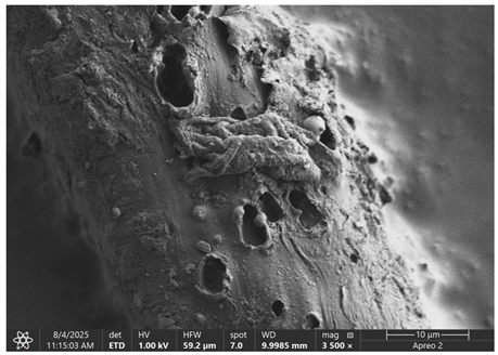 Materials 18 05631 i021