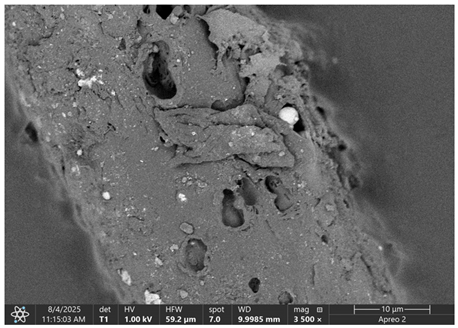 Materials 18 05631 i022