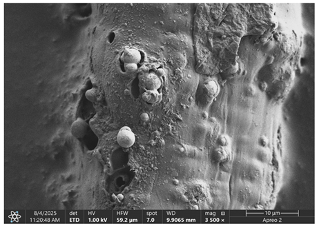 Materials 18 05631 i023