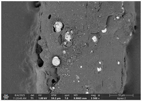 Materials 18 05631 i024