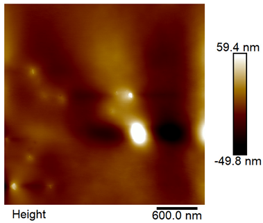 Materials 18 05631 i028