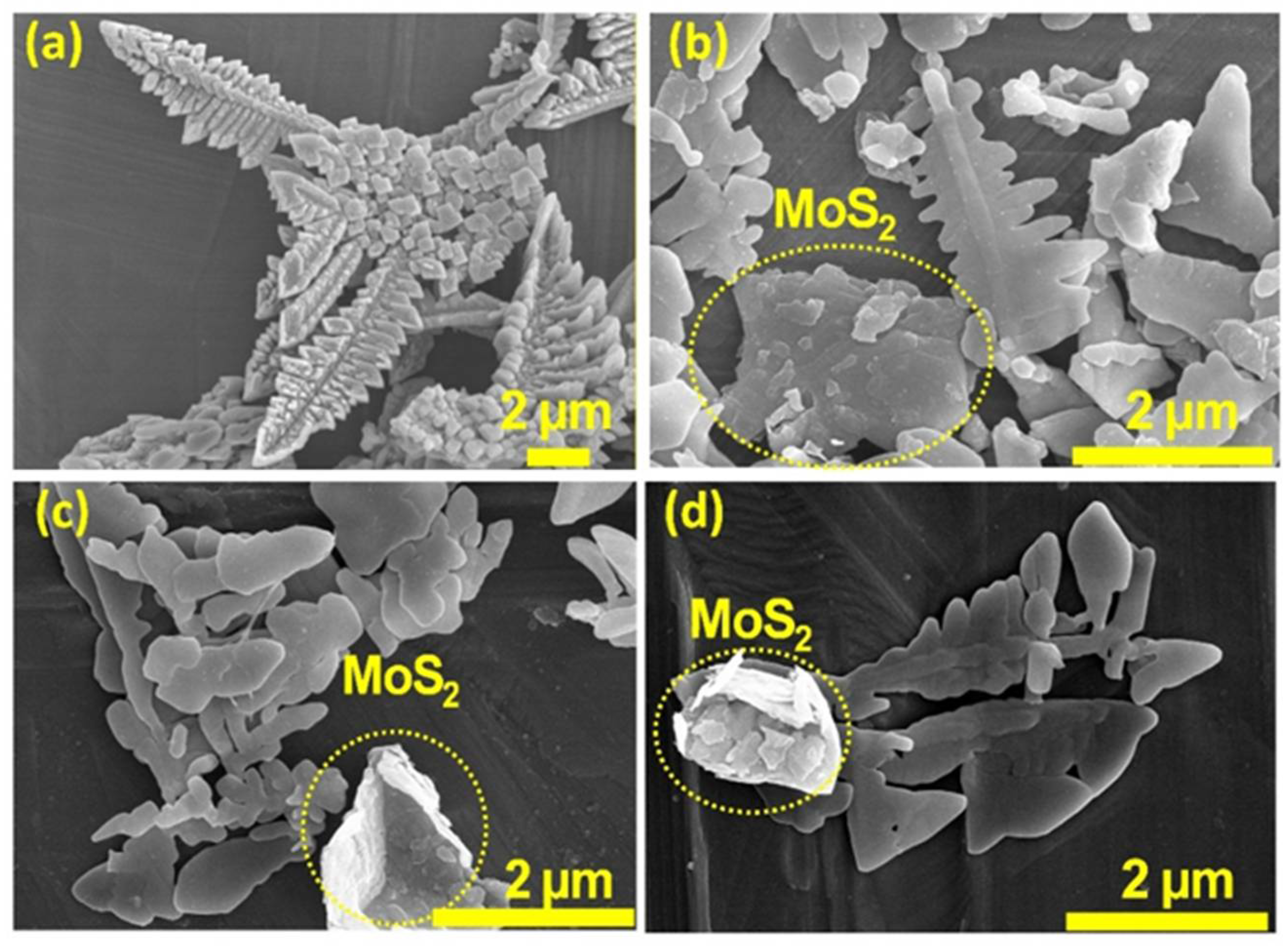 Materials 18 05639 g004