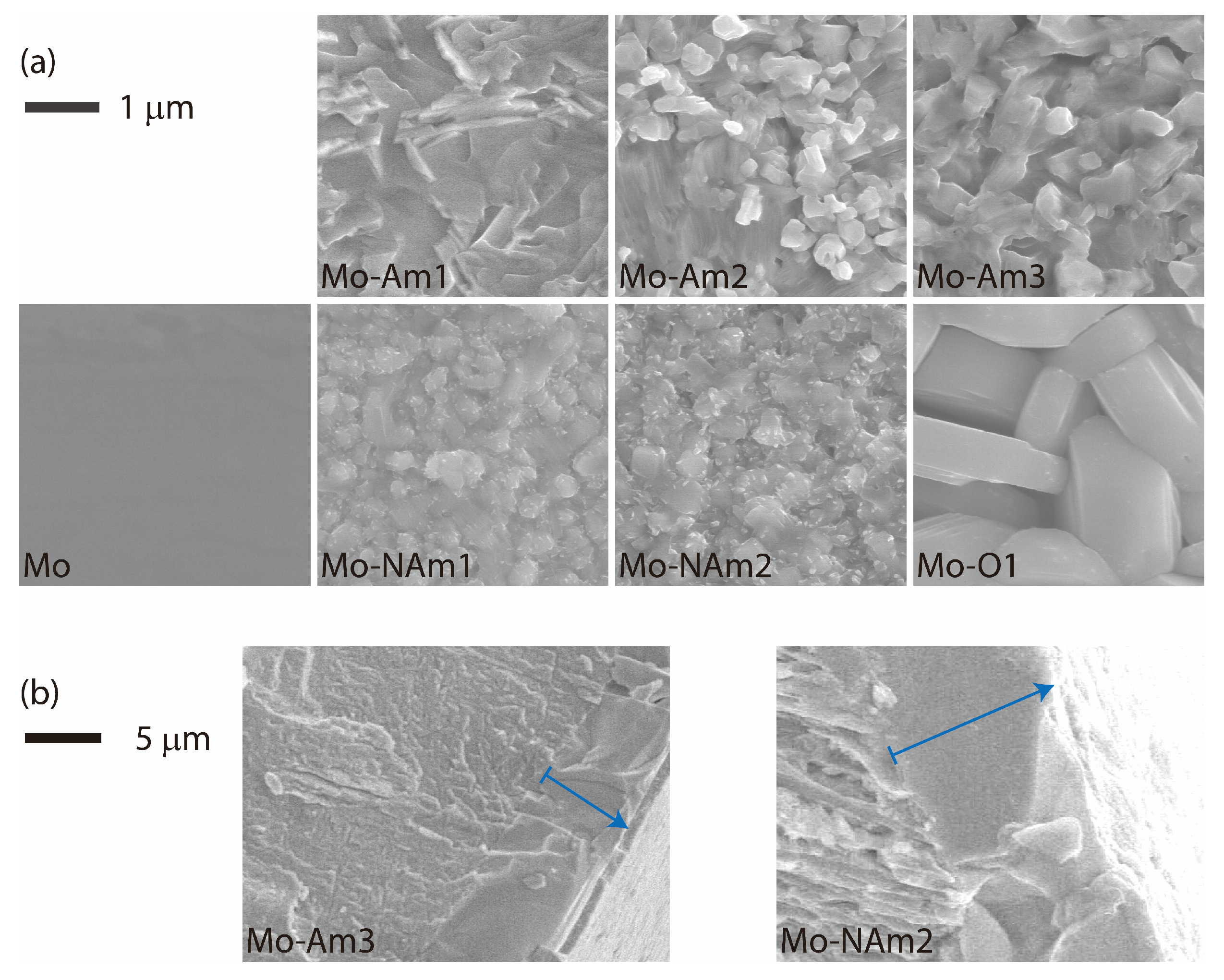 Materials 18 05649 g004 Materials 18 05649 g004