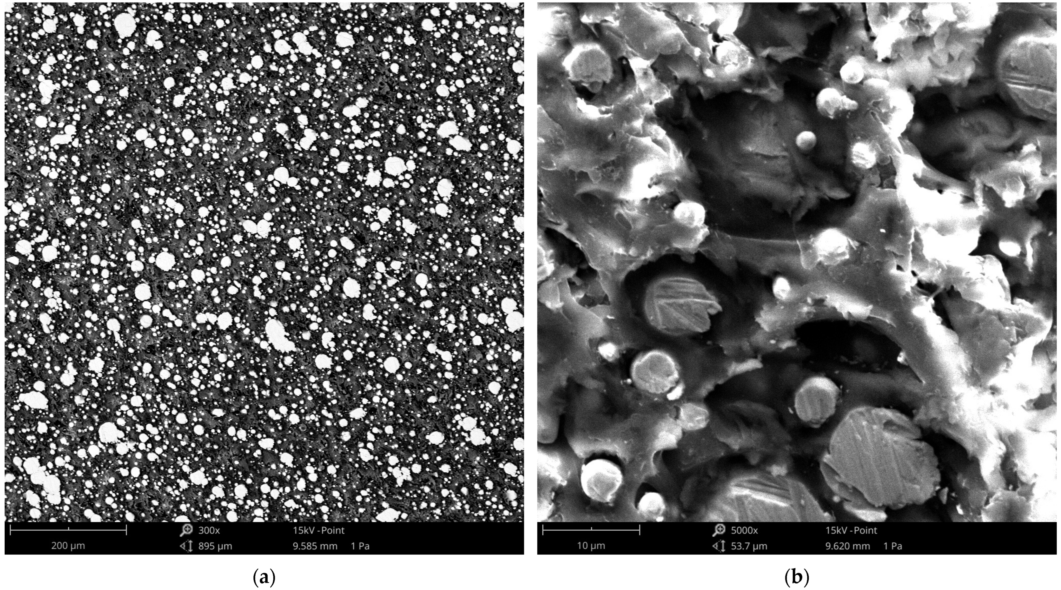 Materials 18 05656 g010