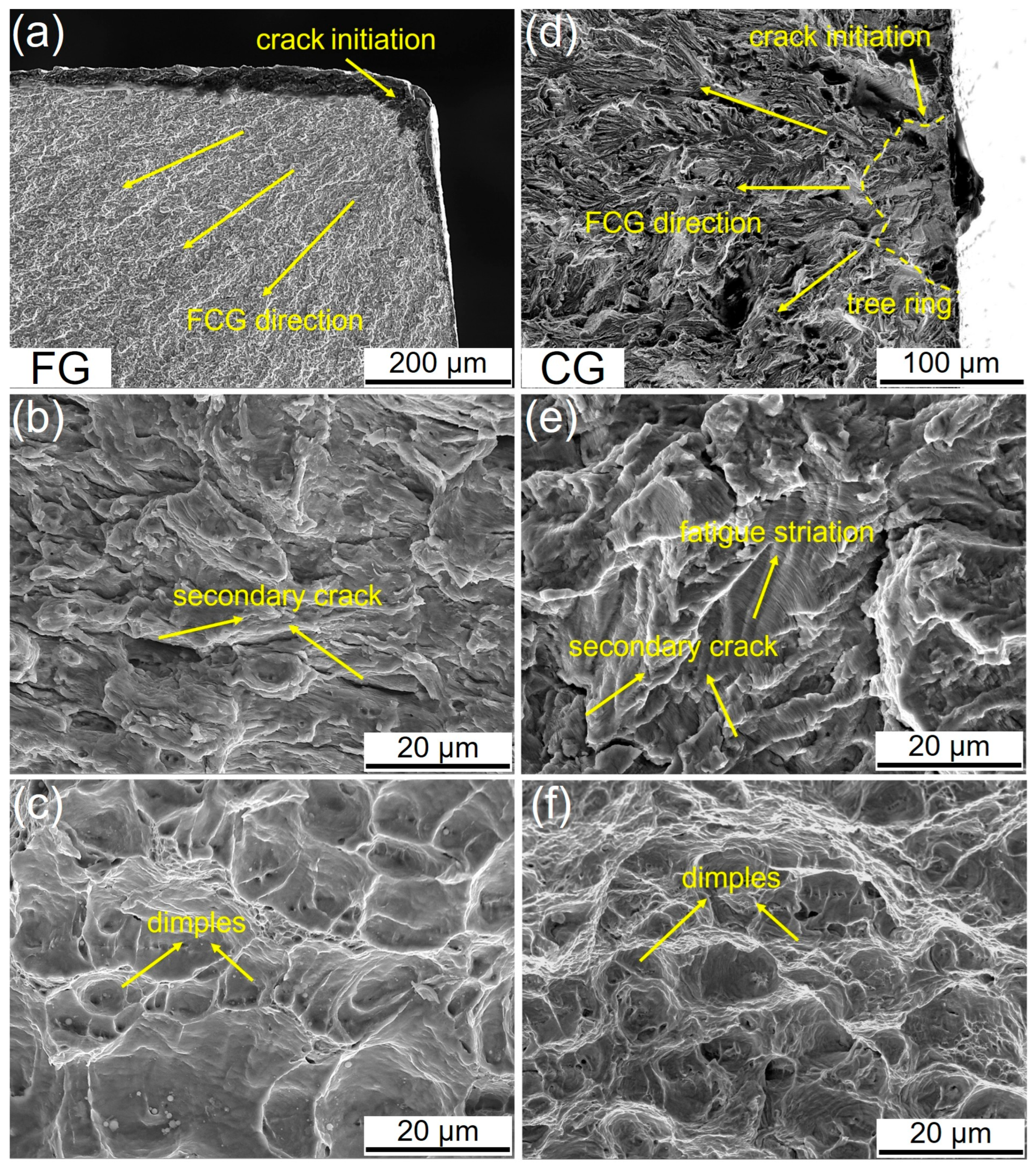Materials 18 05658 g006 Materials 18 05658 g006