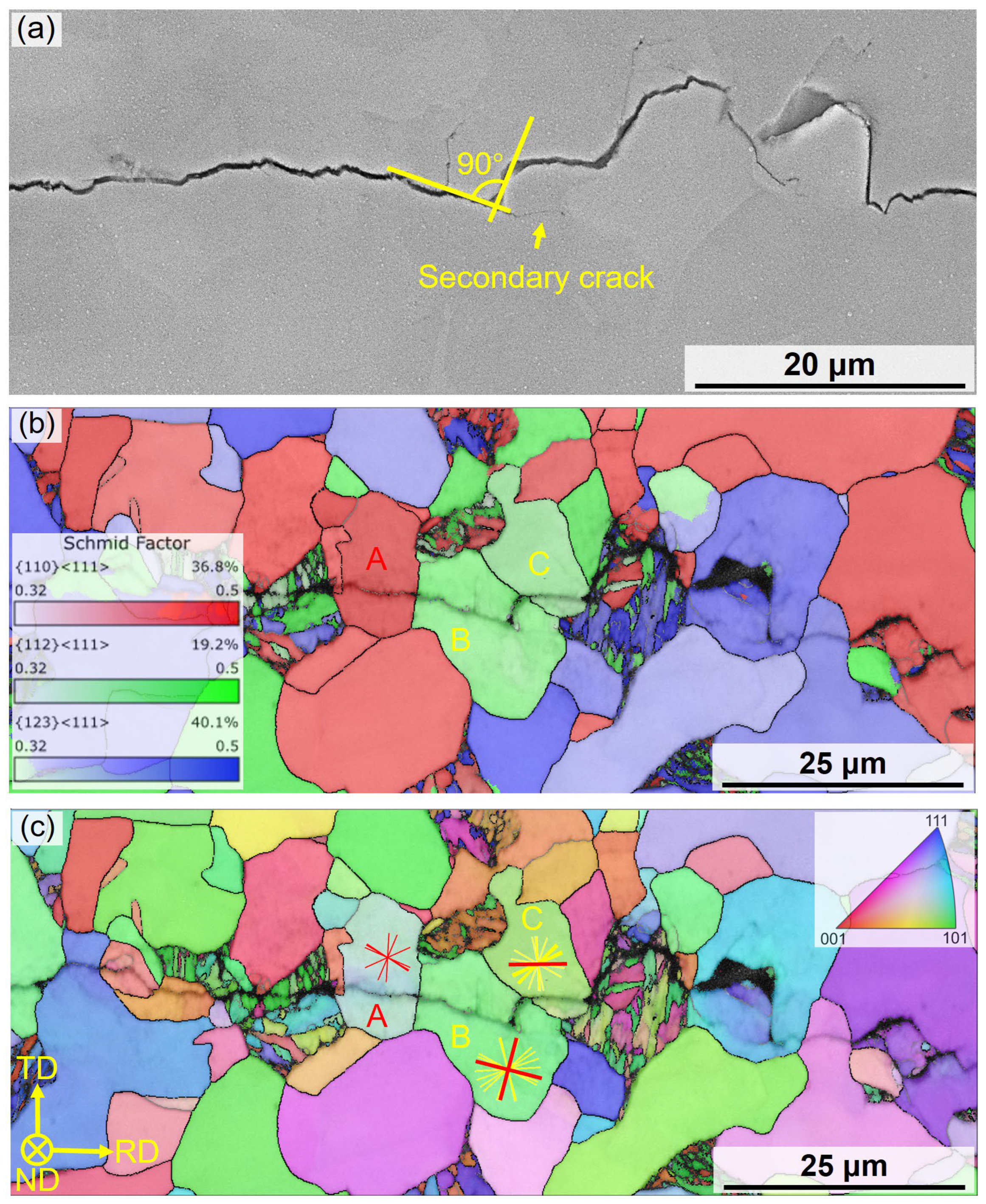 Materials 18 05658 g009 Materials 18 05658 g009