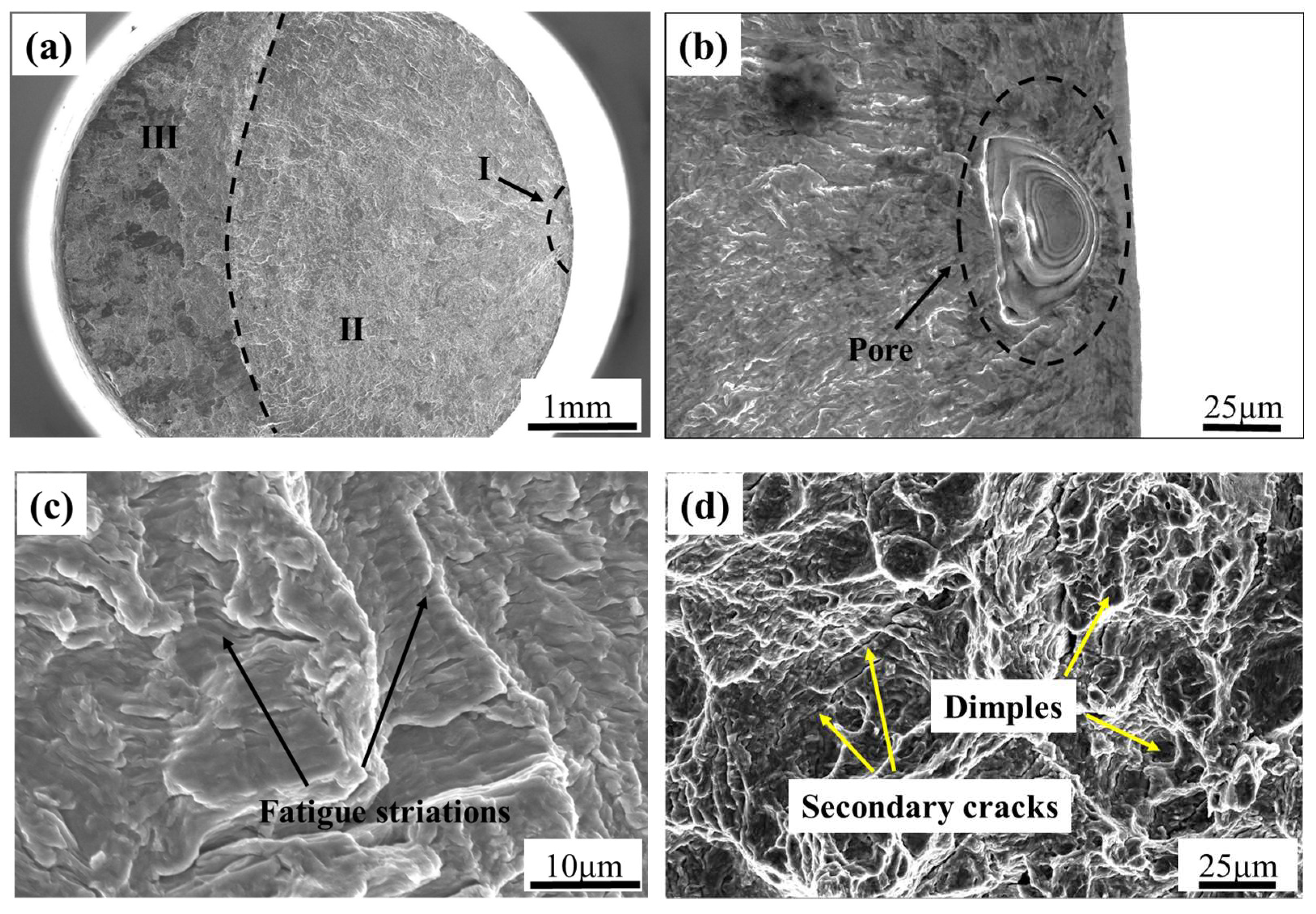 Materials 18 05678 g005