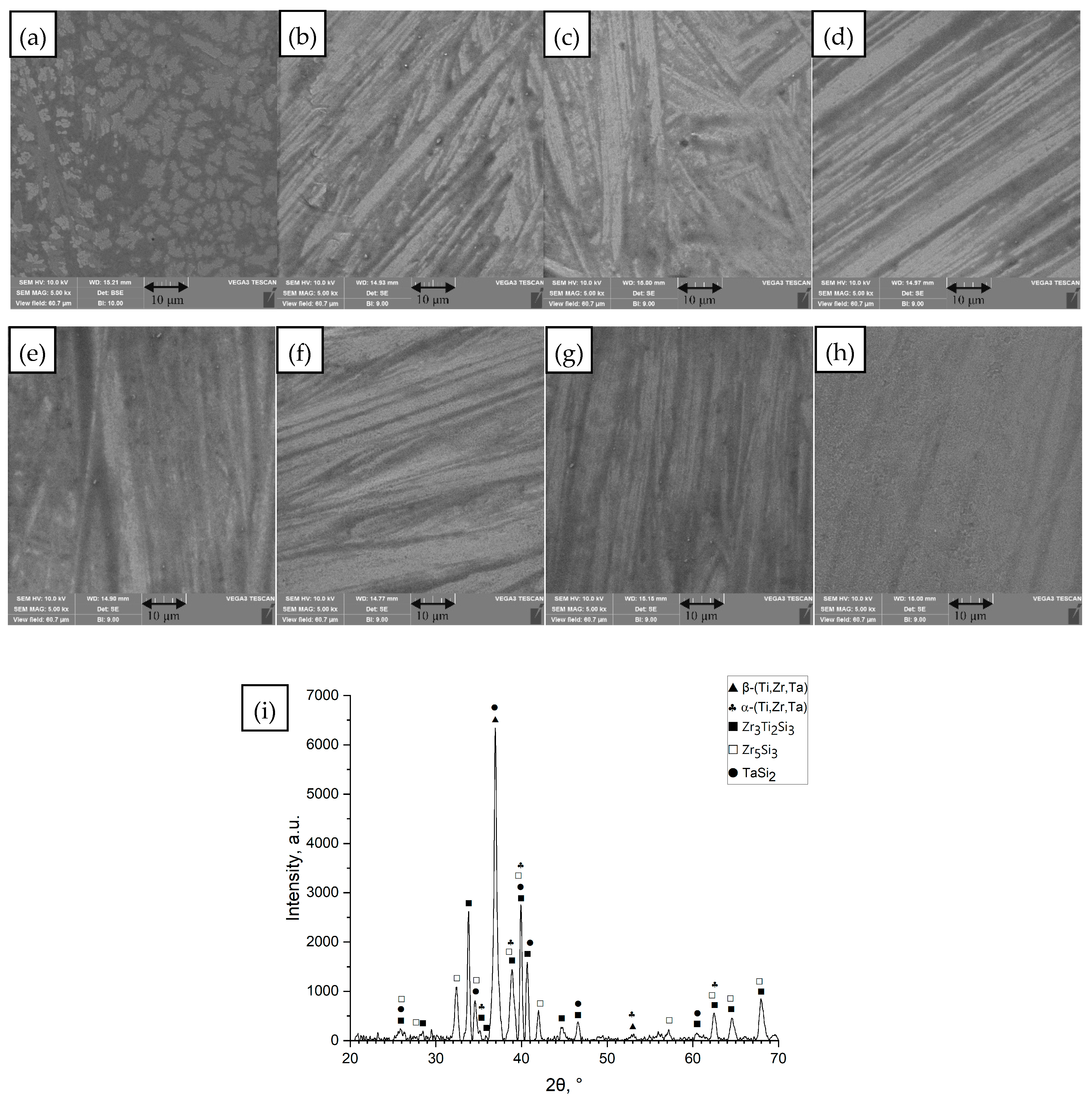 Materials 18 05687 g001