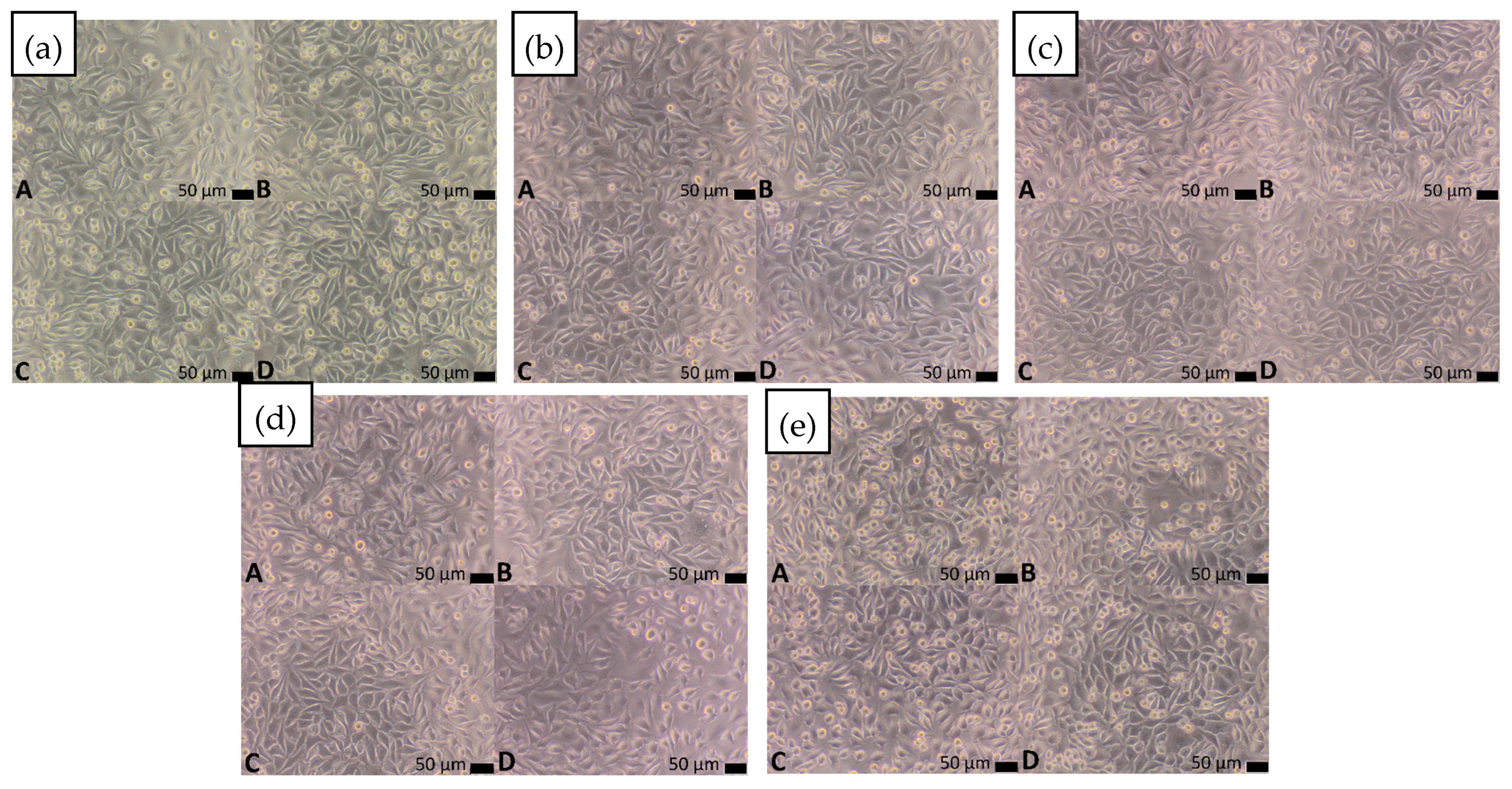 Materials 18 05687 g009