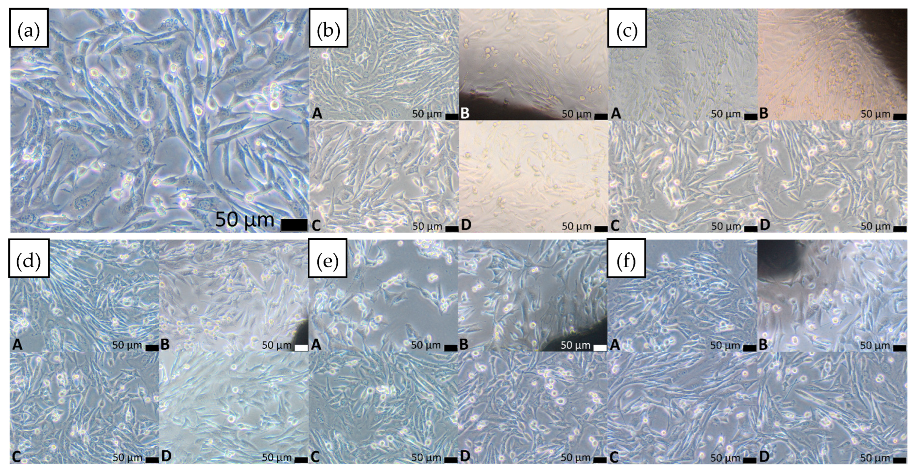 Materials 18 05687 g010