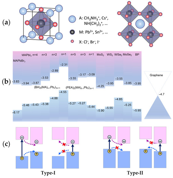 テラヘルツ Progress in Charge Transfer in 2D Metal Halide Perovskite