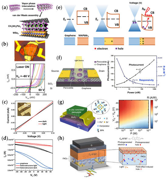 テラヘルツ Progress in Charge Transfer in 2D Metal Halide Perovskite