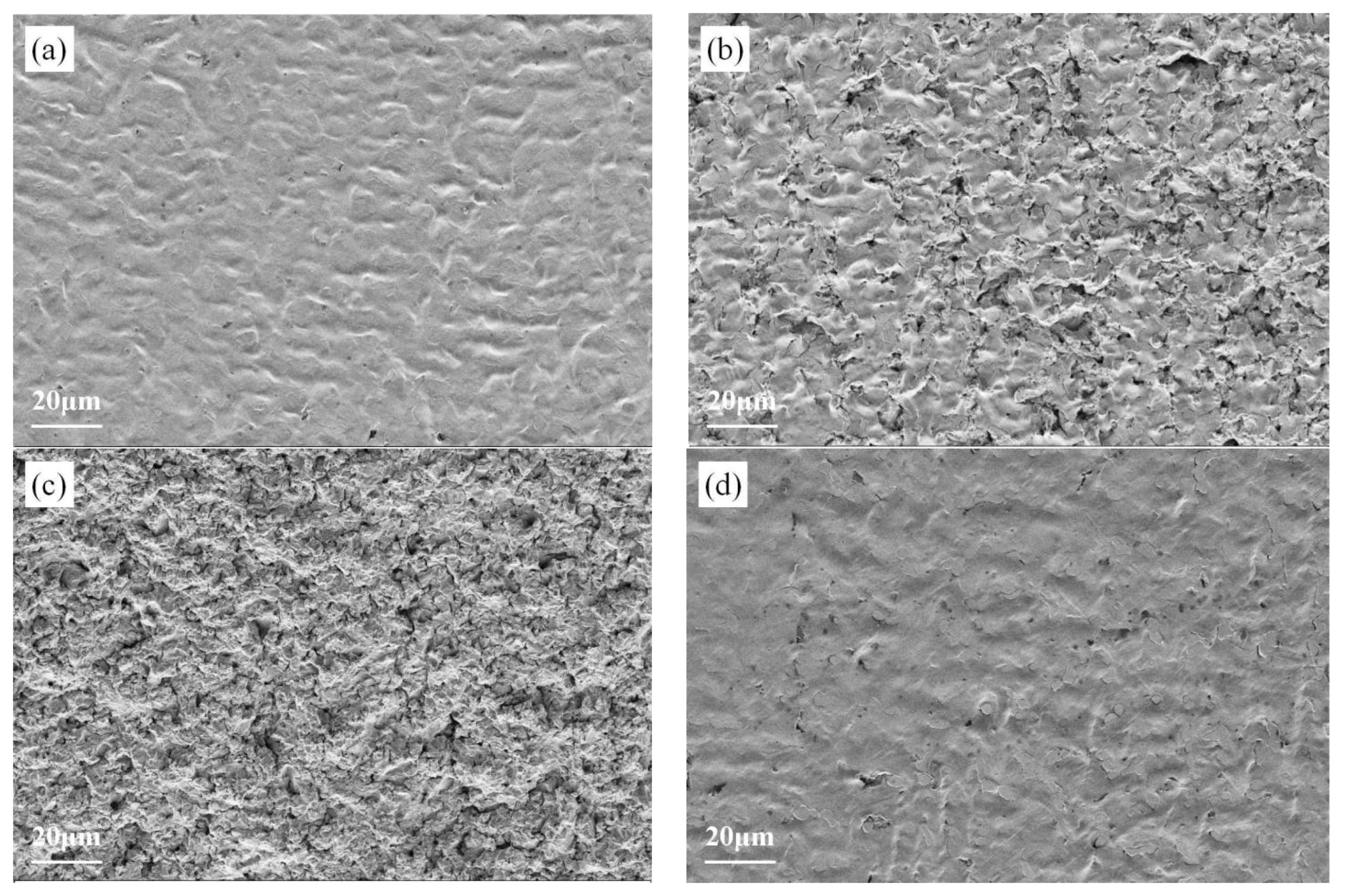 Materials 19 00005 g009a Materials 19 00005 g009a