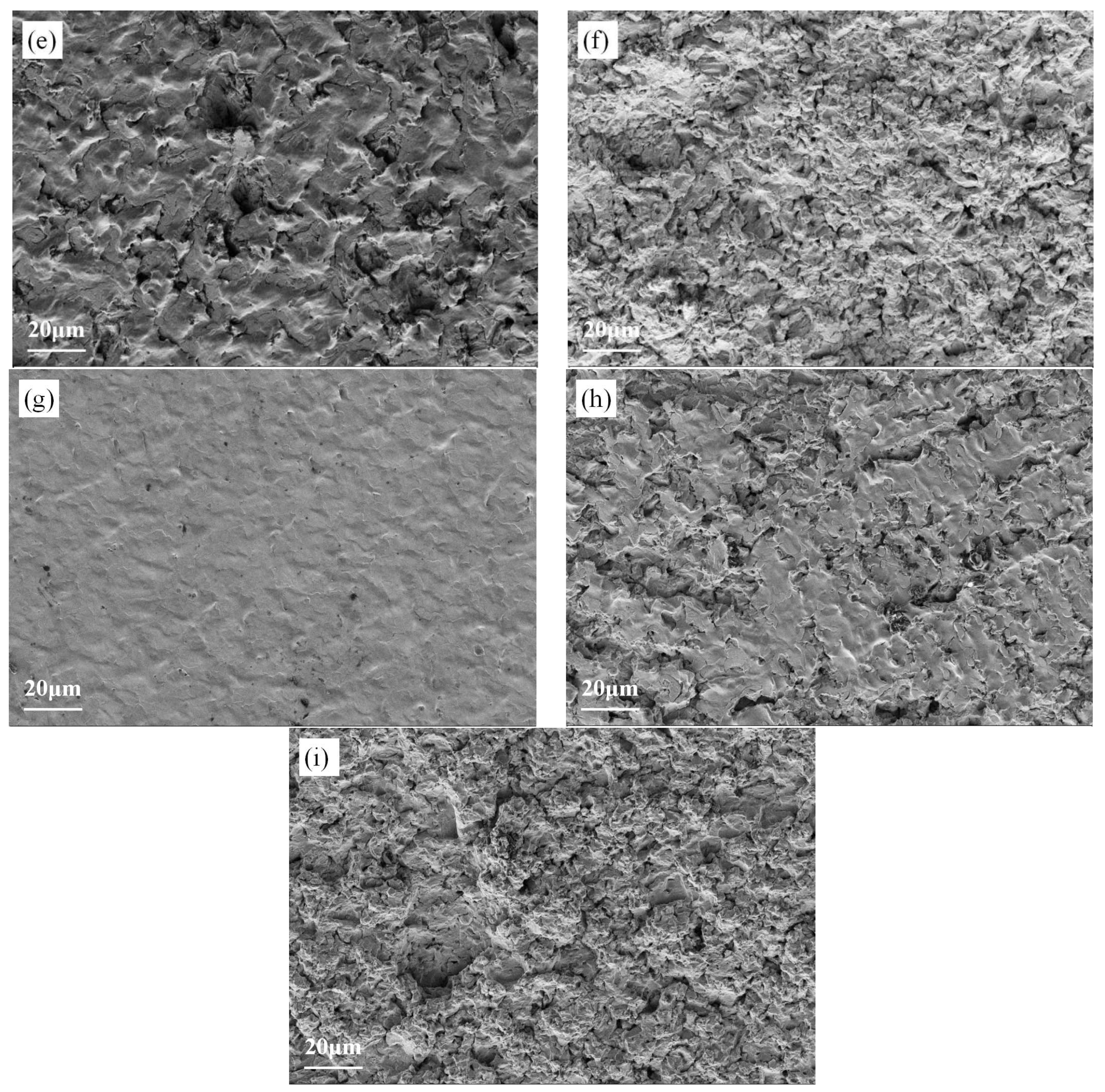 Materials 19 00005 g009b Materials 19 00005 g009b