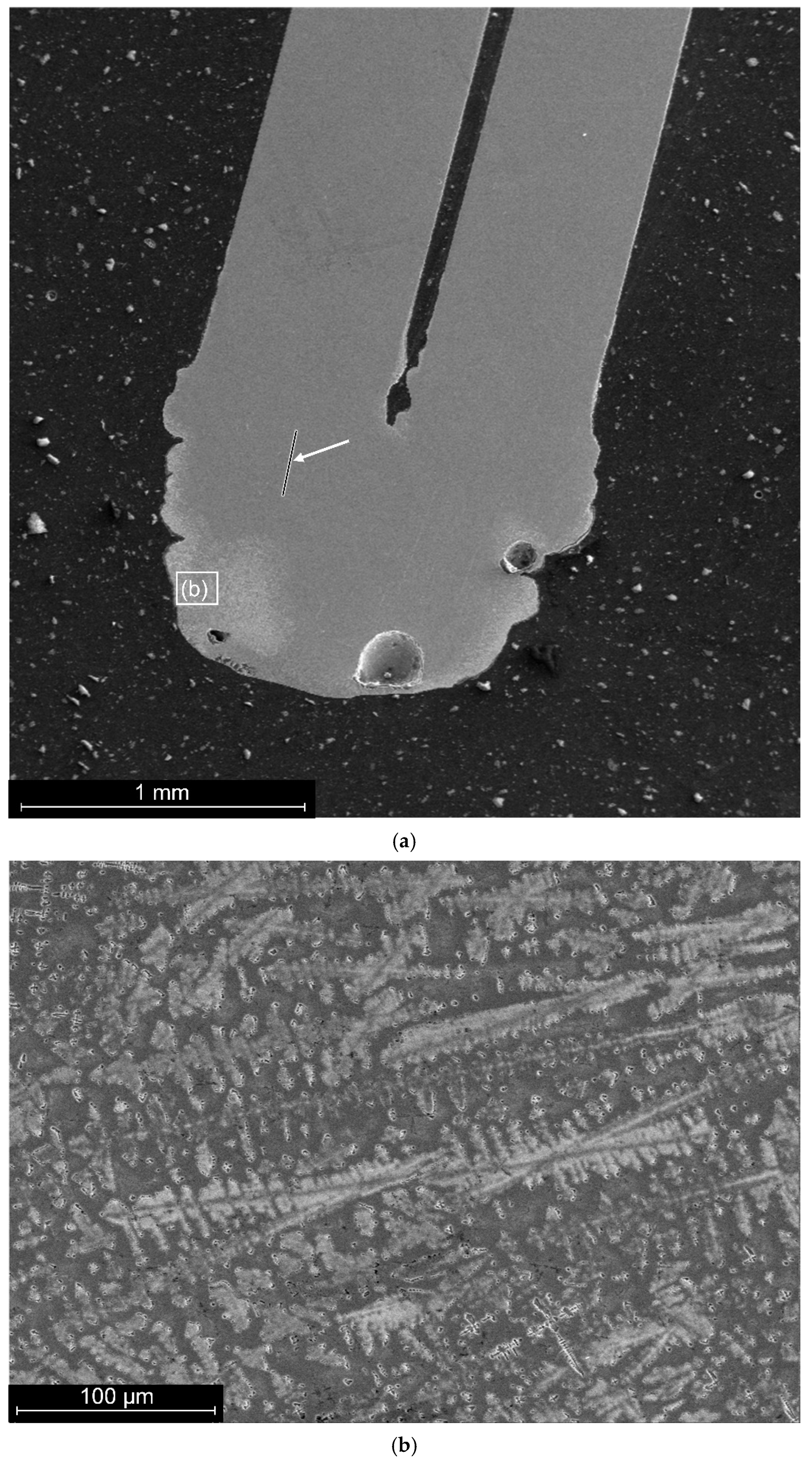 Materials 19 00007 g007