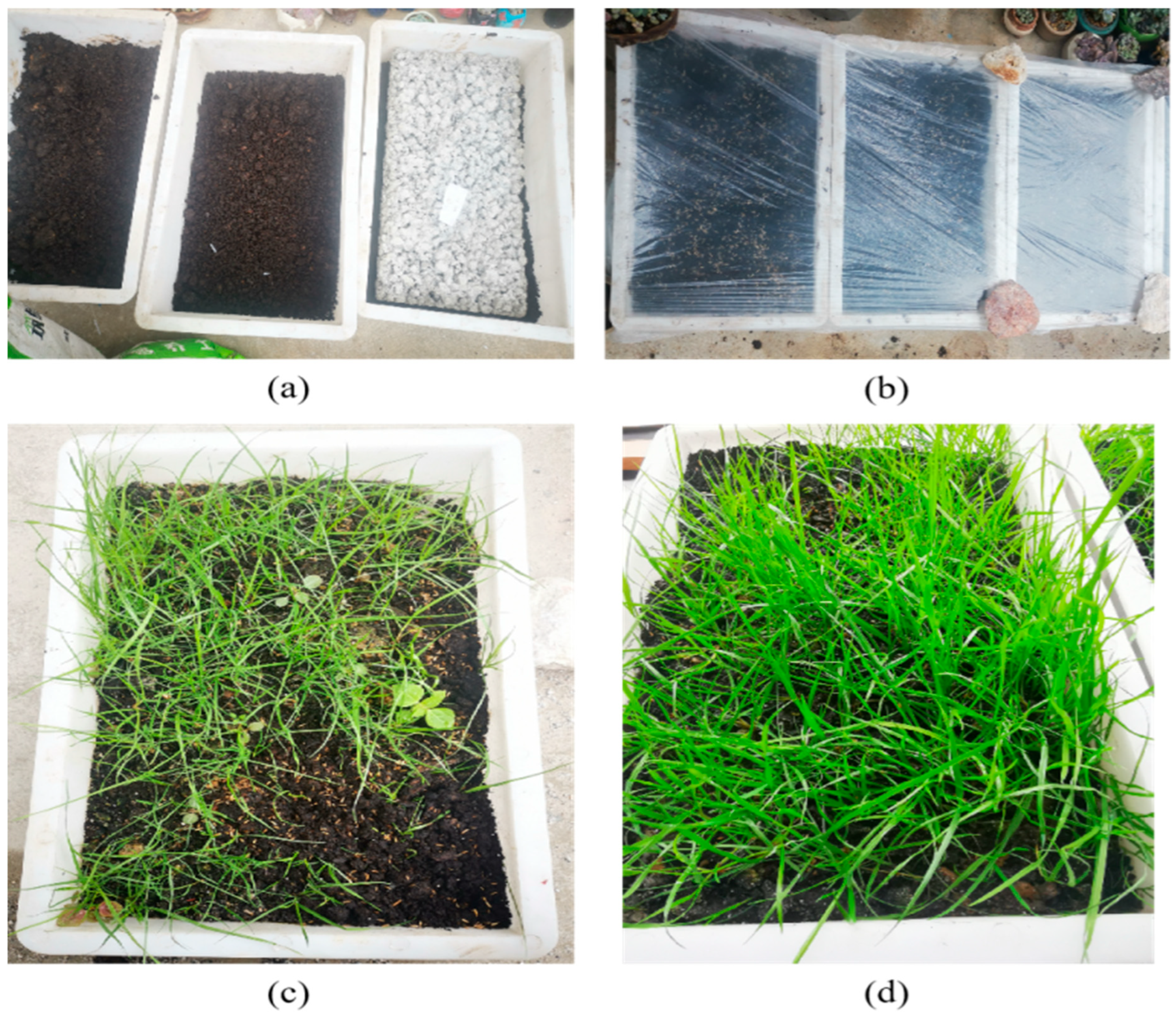 Materials 19 00014 g013