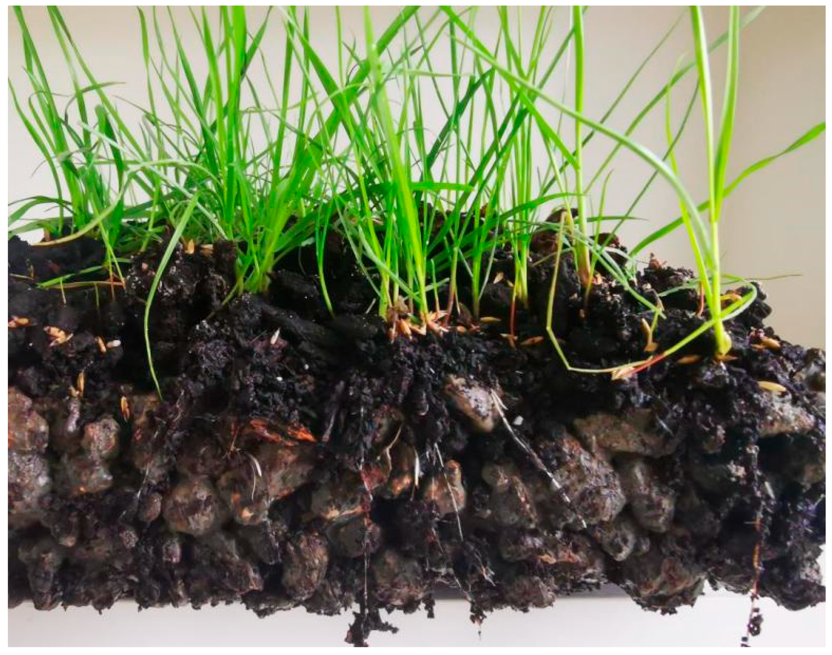 Materials 19 00014 g016