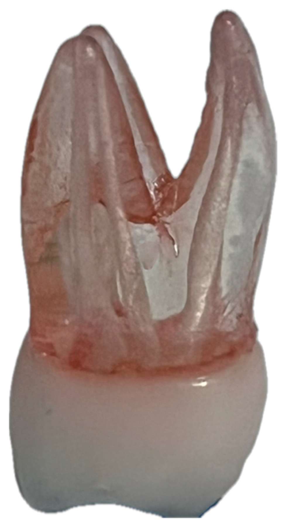 Materials 19 00037 g001