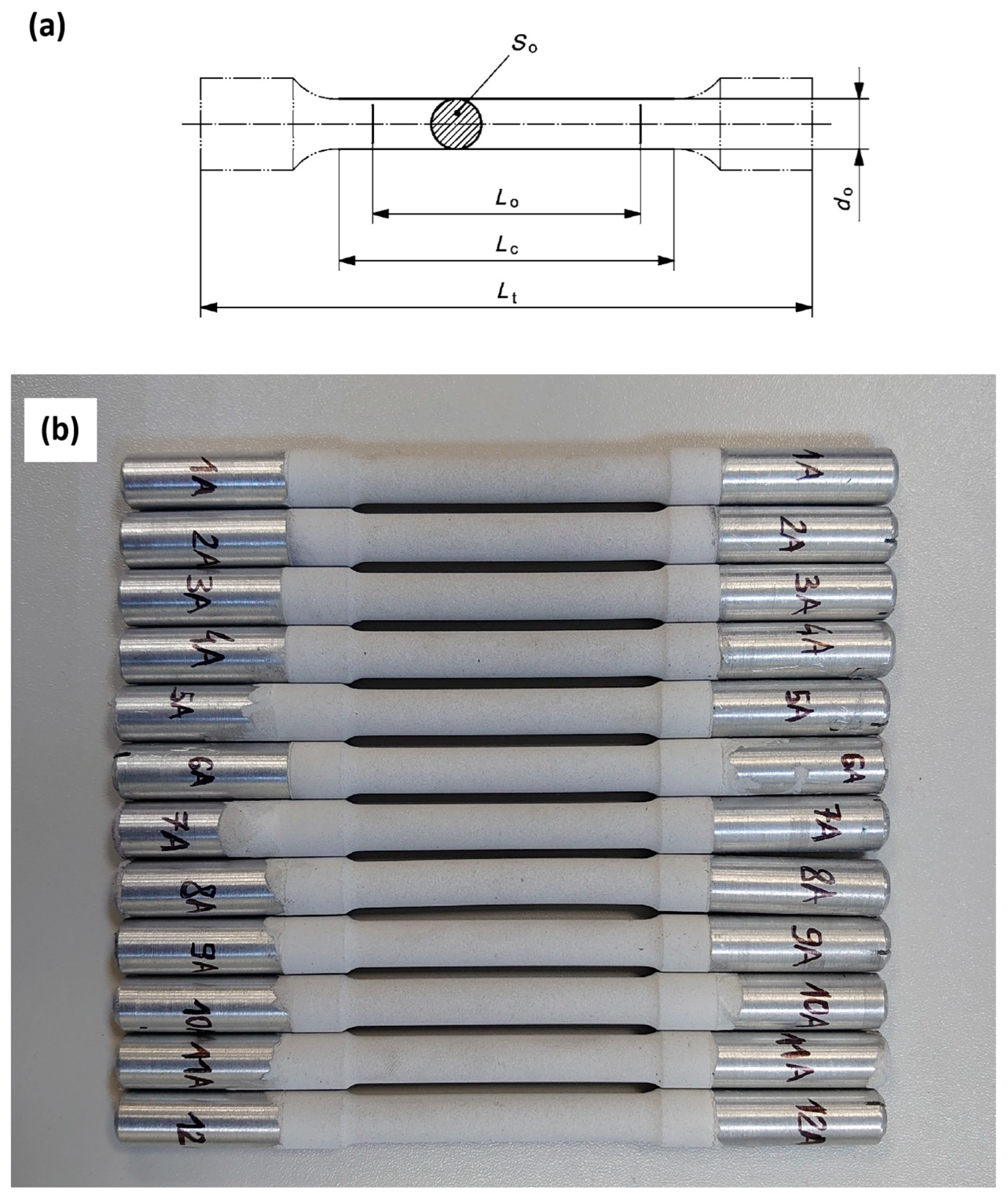 Materials 19 00039 g001