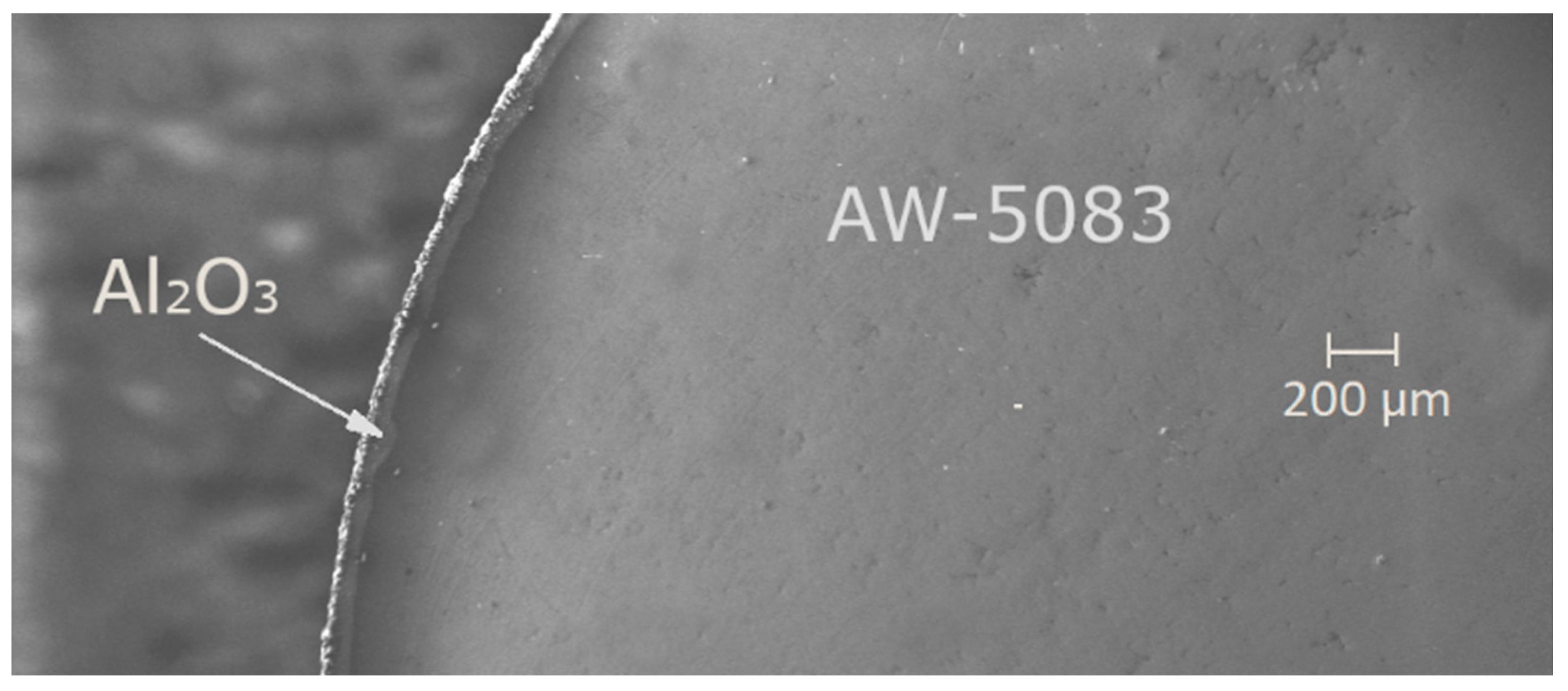 Materials 19 00039 g003