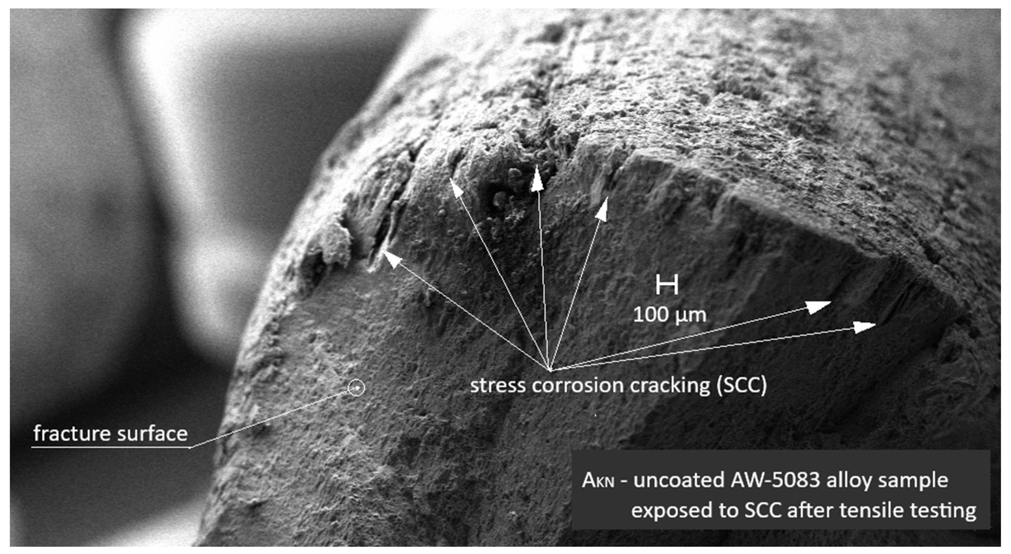 Materials 19 00039 g015