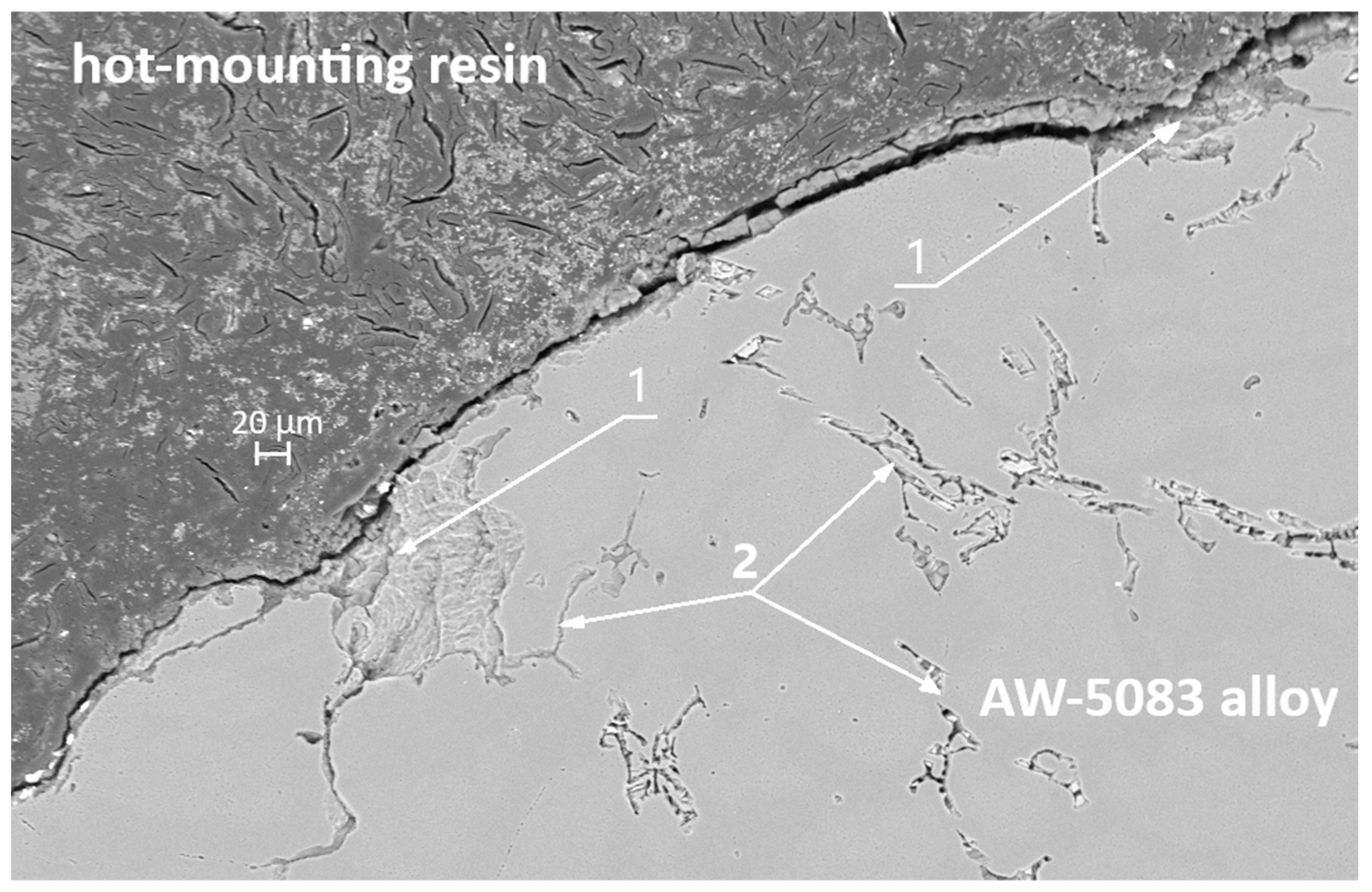 Materials 19 00039 g016
