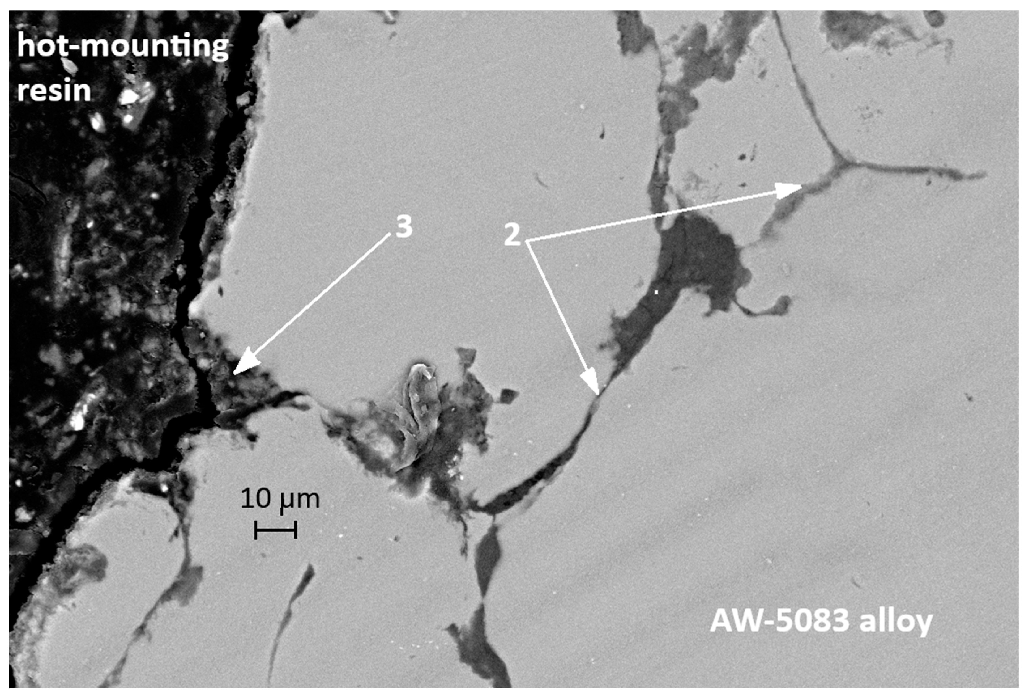 Materials 19 00039 g017