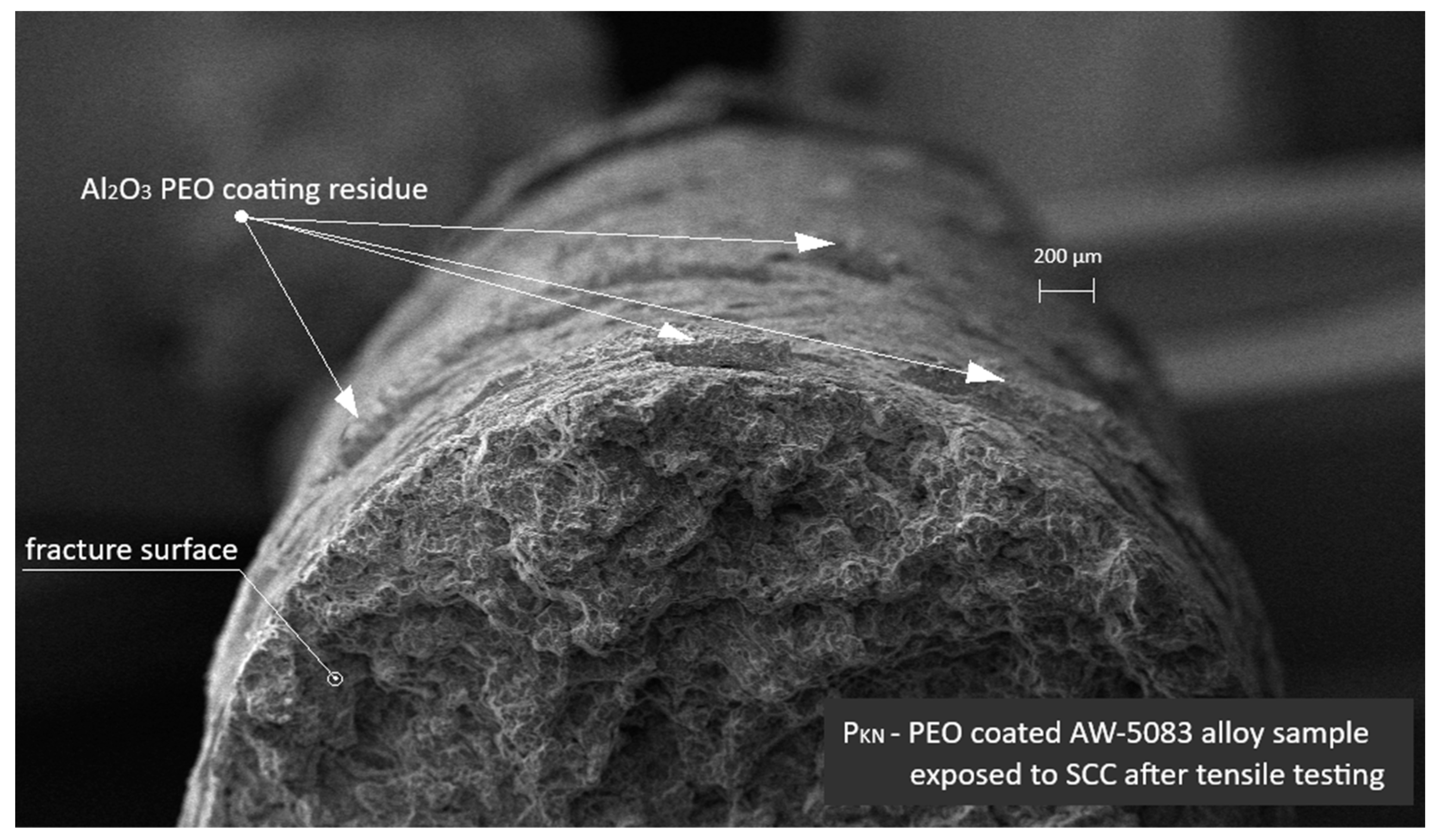 Materials 19 00039 g018