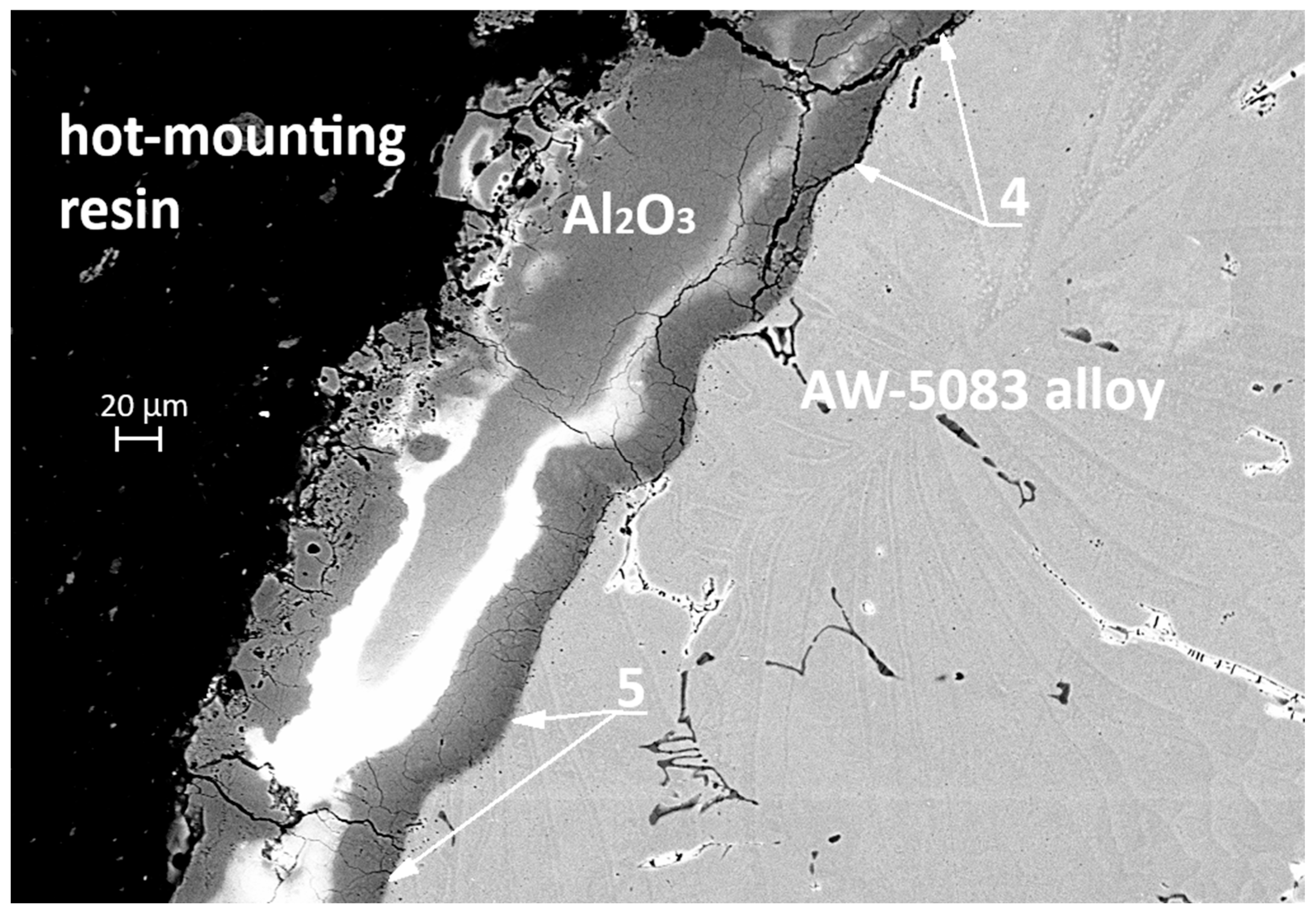 Materials 19 00039 g020