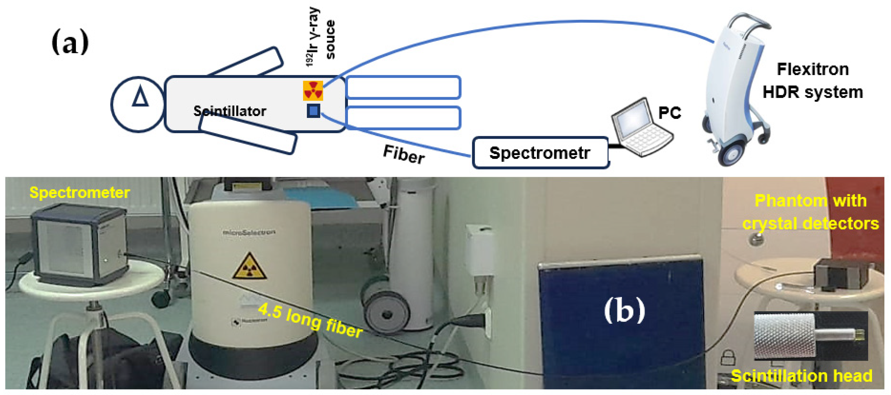 Materials 19 00045 g002