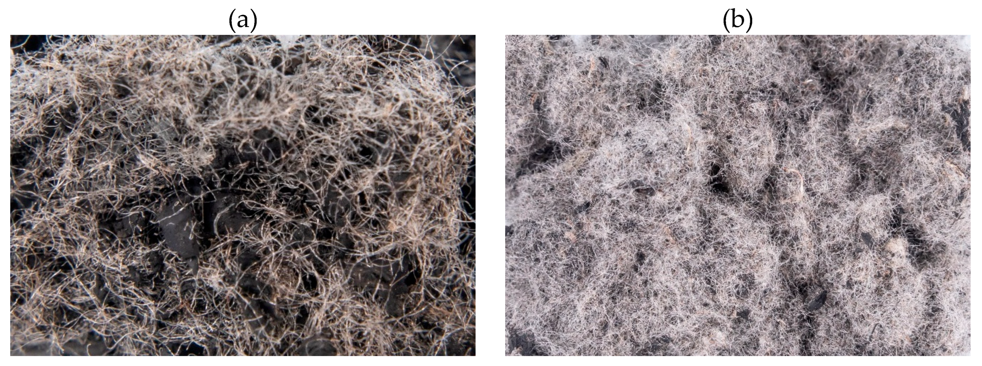 Materials 19 00052 g001a