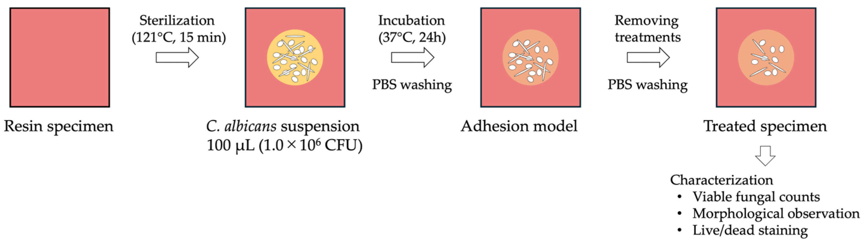Materials 19 00053 g001