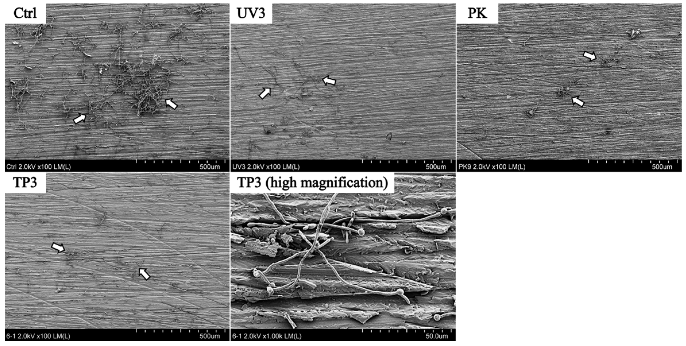 Materials 19 00053 g004