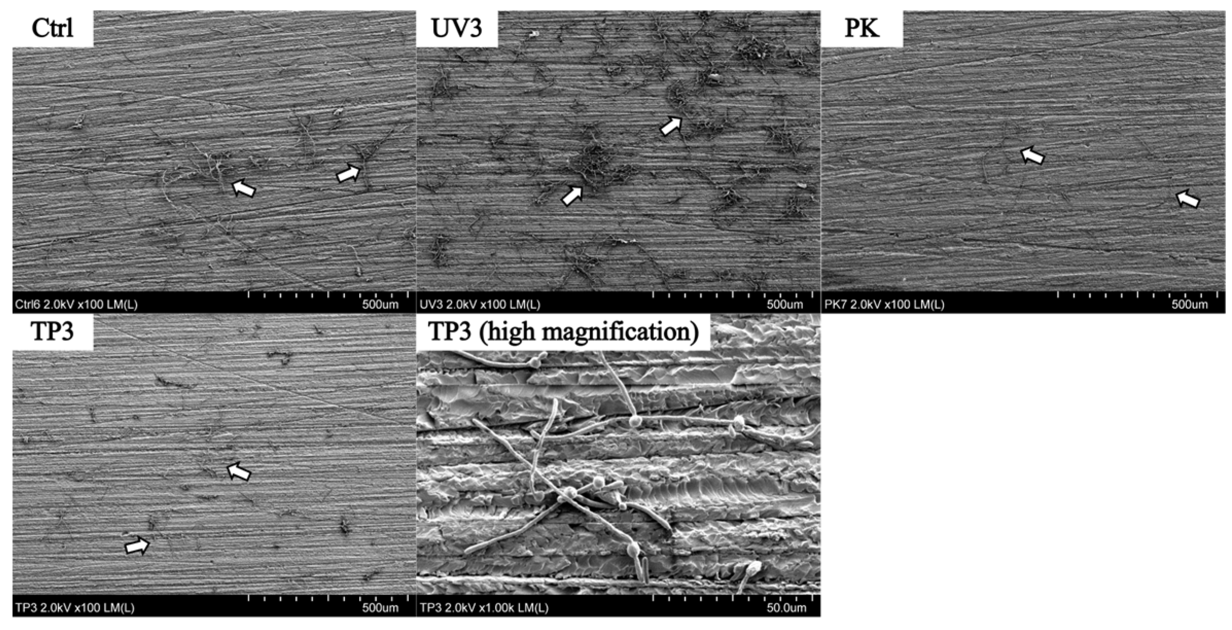 Materials 19 00053 g005