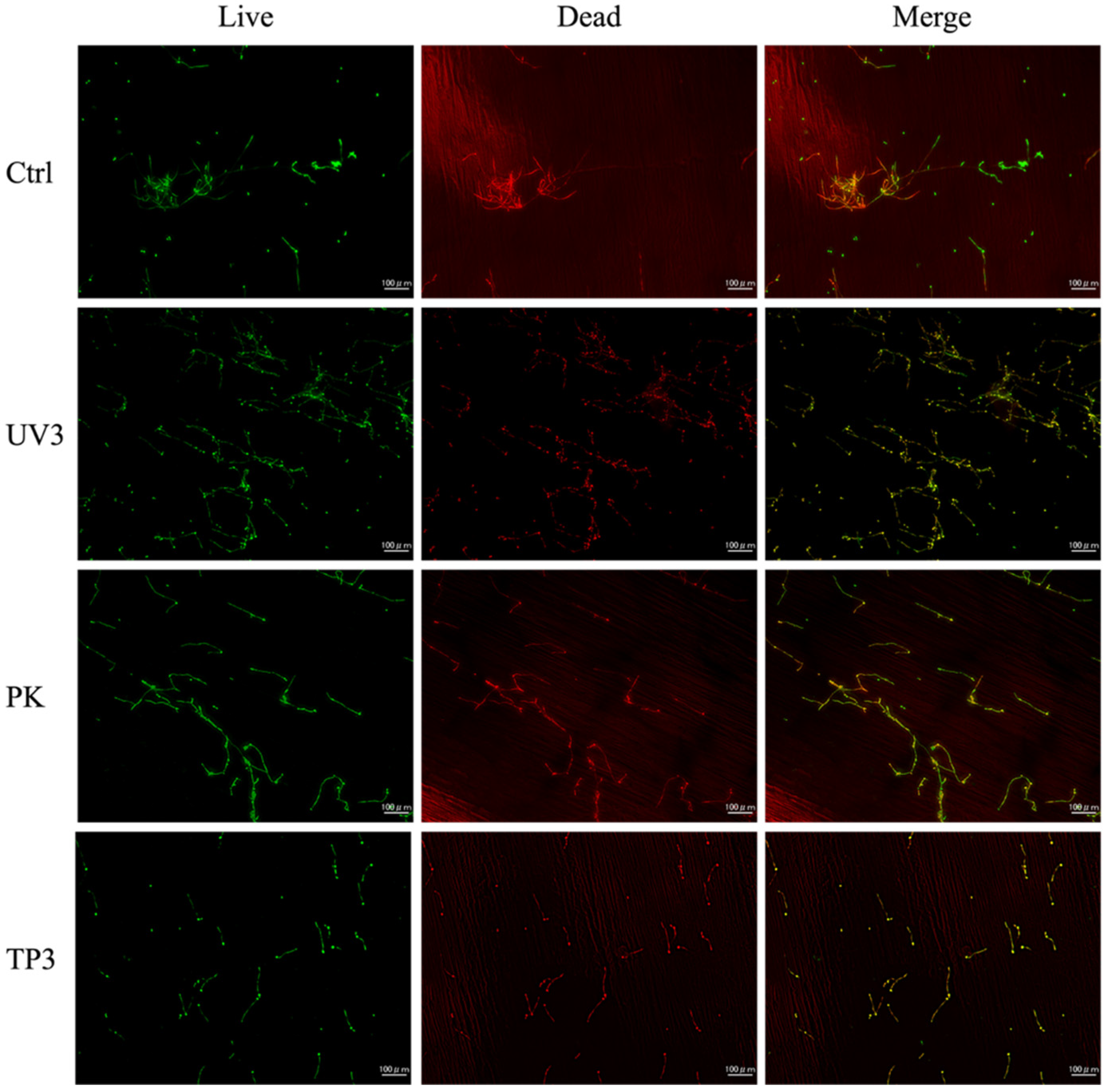 Materials 19 00053 g006