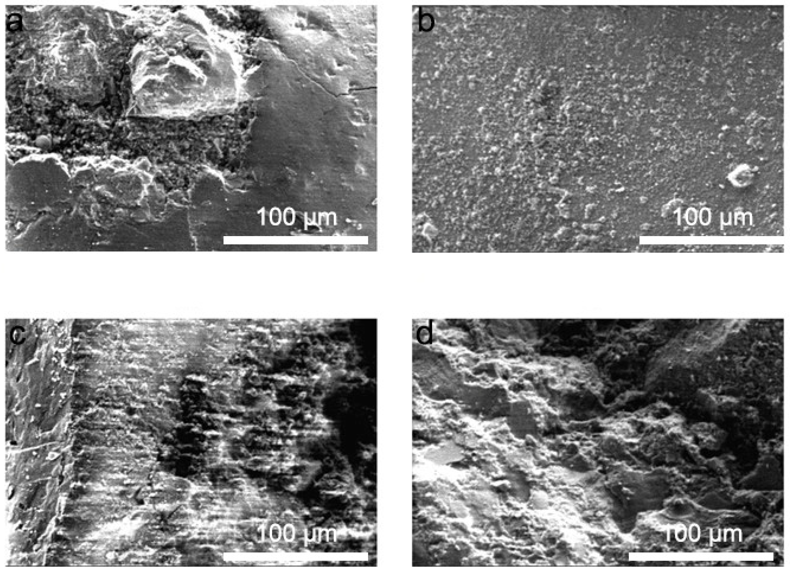 Materials 19 00054 g009 Materials 19 00054 g009