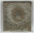 Materials 19 00069 i006