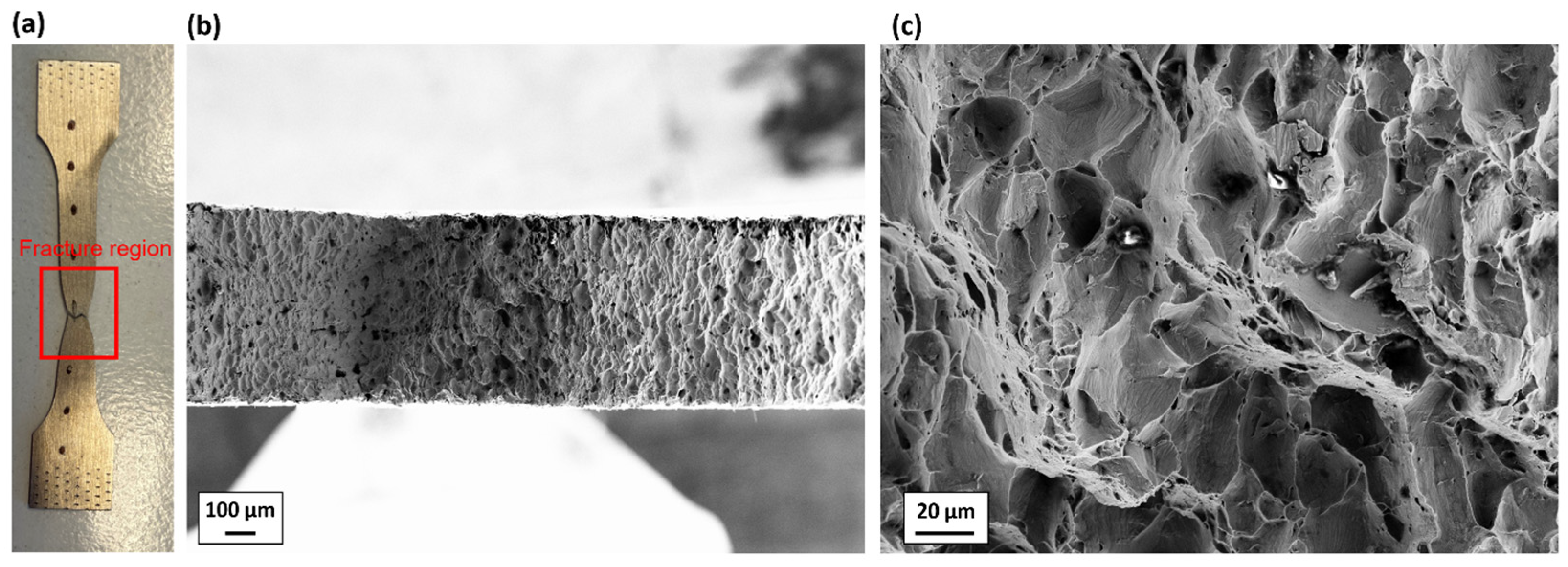 Materials 19 00081 g009