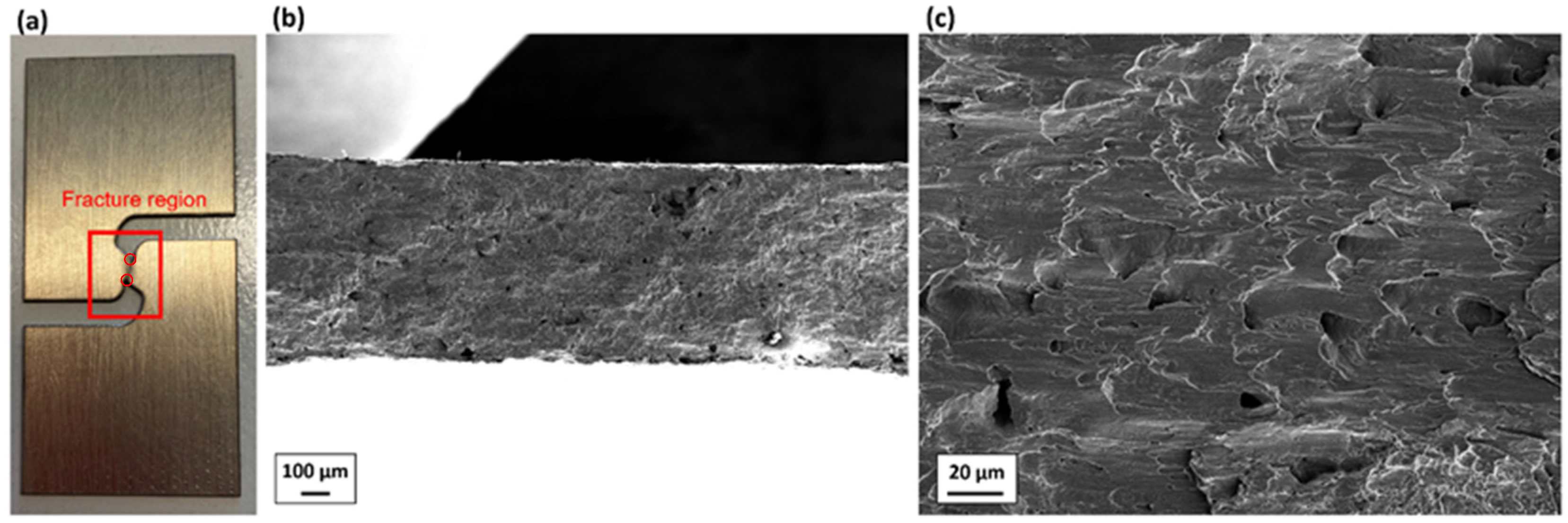 Materials 19 00081 g010