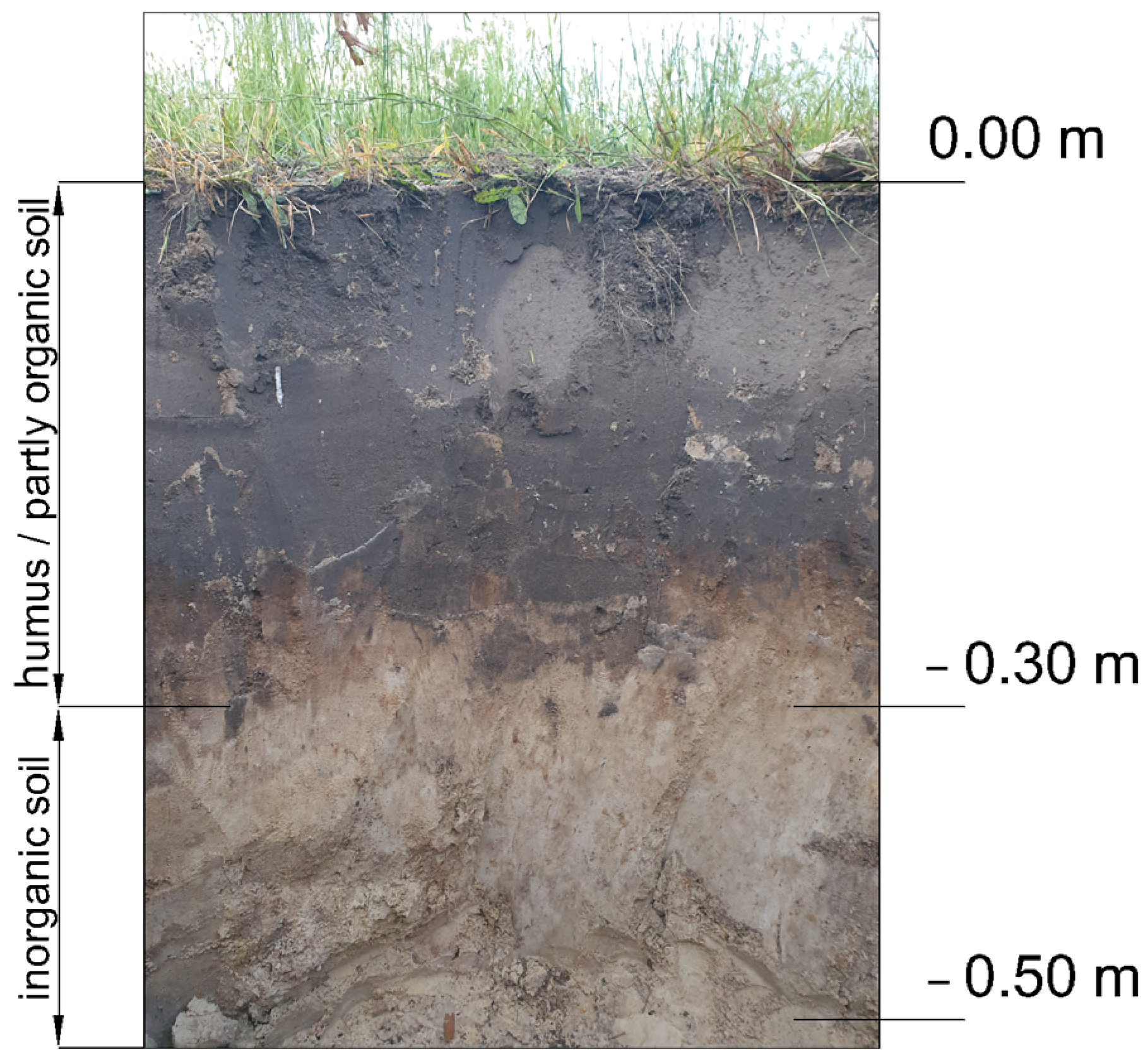Materials 19 00088 g004