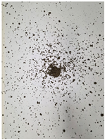 Materials 19 00088 i001