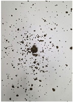 Materials 19 00088 i002